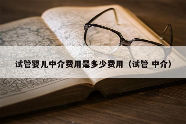 试管婴儿中介费用是多少费用（试管 中介）