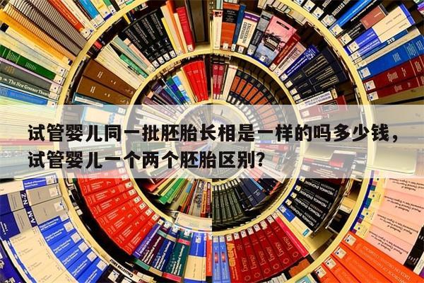 试管婴儿同一批胚胎长相是一样的吗多少钱，试管婴儿一个两个胚胎区别？