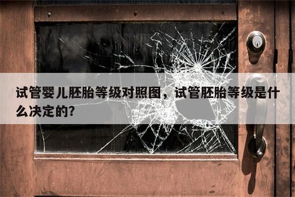 试管婴儿胚胎等级对照图，试管胚胎等级是什么决定的？