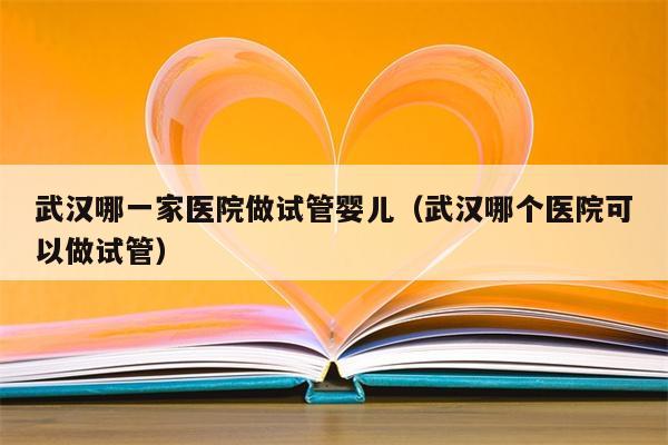 武汉哪一家医院做试管婴儿（武汉哪个医院可以做试管）